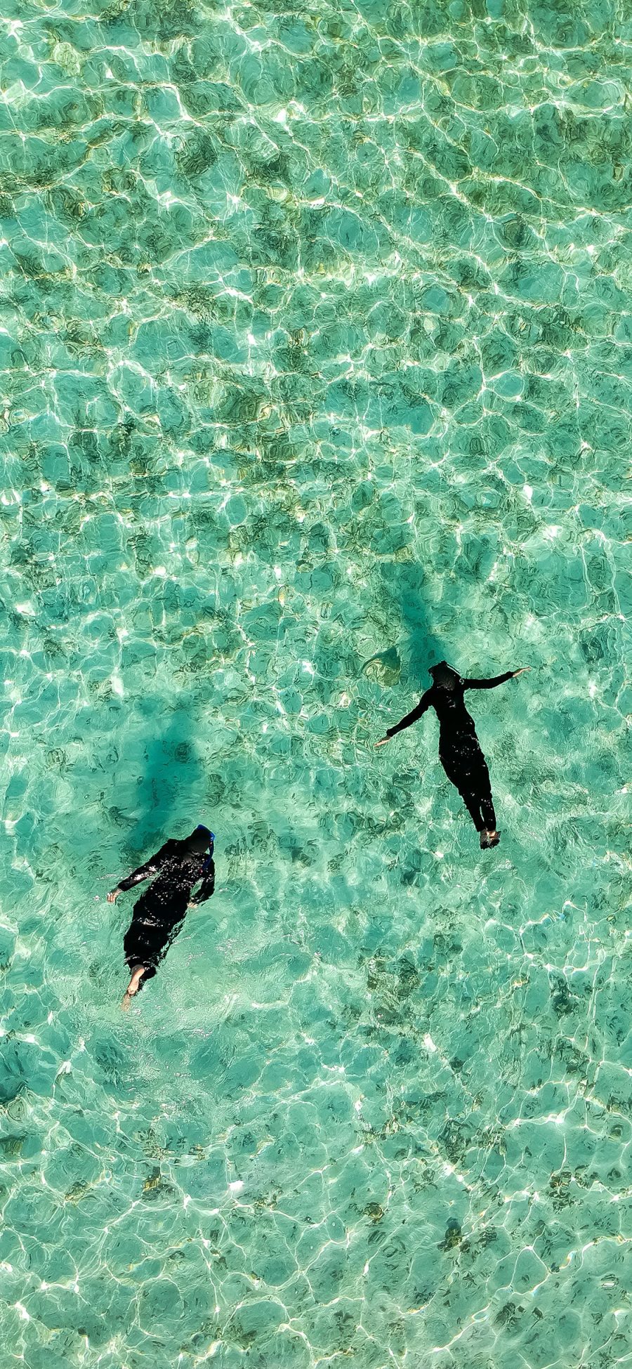 [2436×1125]大海 碧绿海水 游泳 俯拍 苹果手机壁纸图片