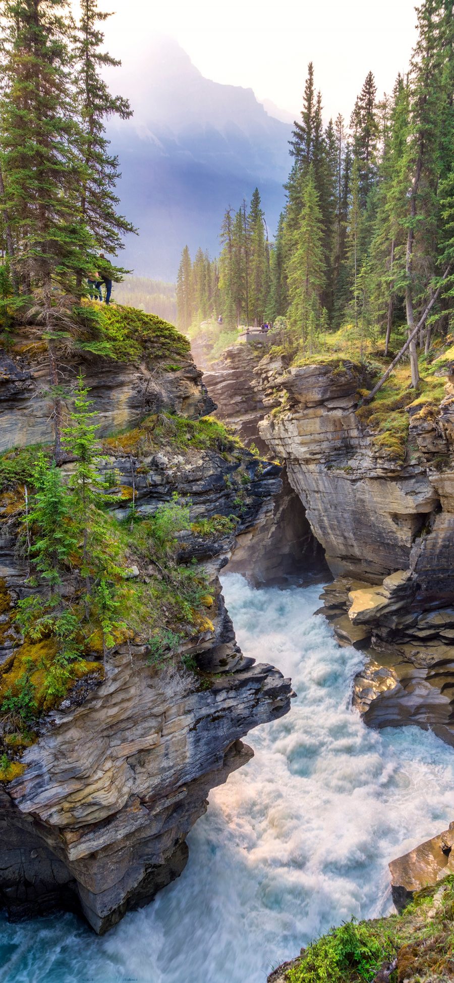[2436×1125]大自然 峡谷 流水 湍急 苹果手机壁纸图片