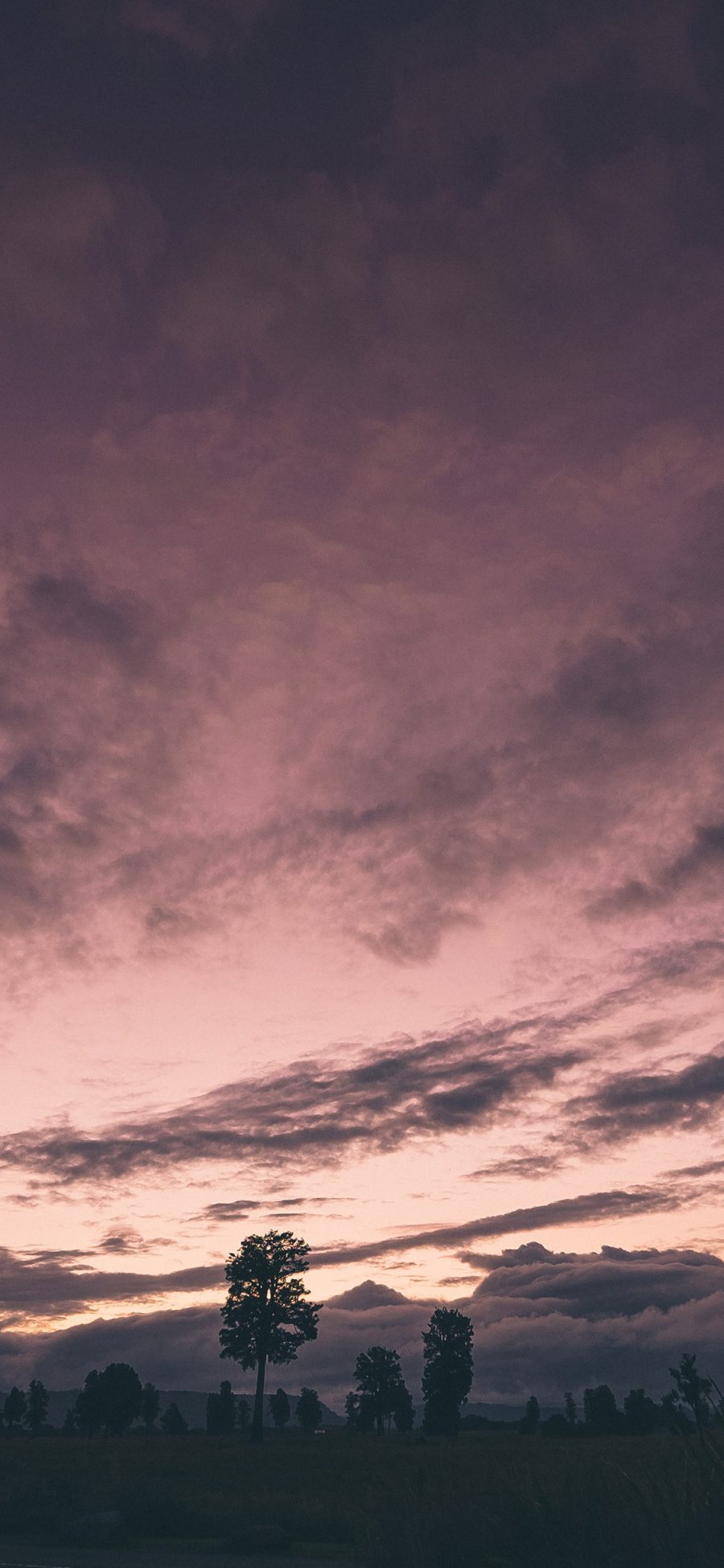 [2436×1125]天空 云层 树木 自然美景 苹果手机壁纸图片