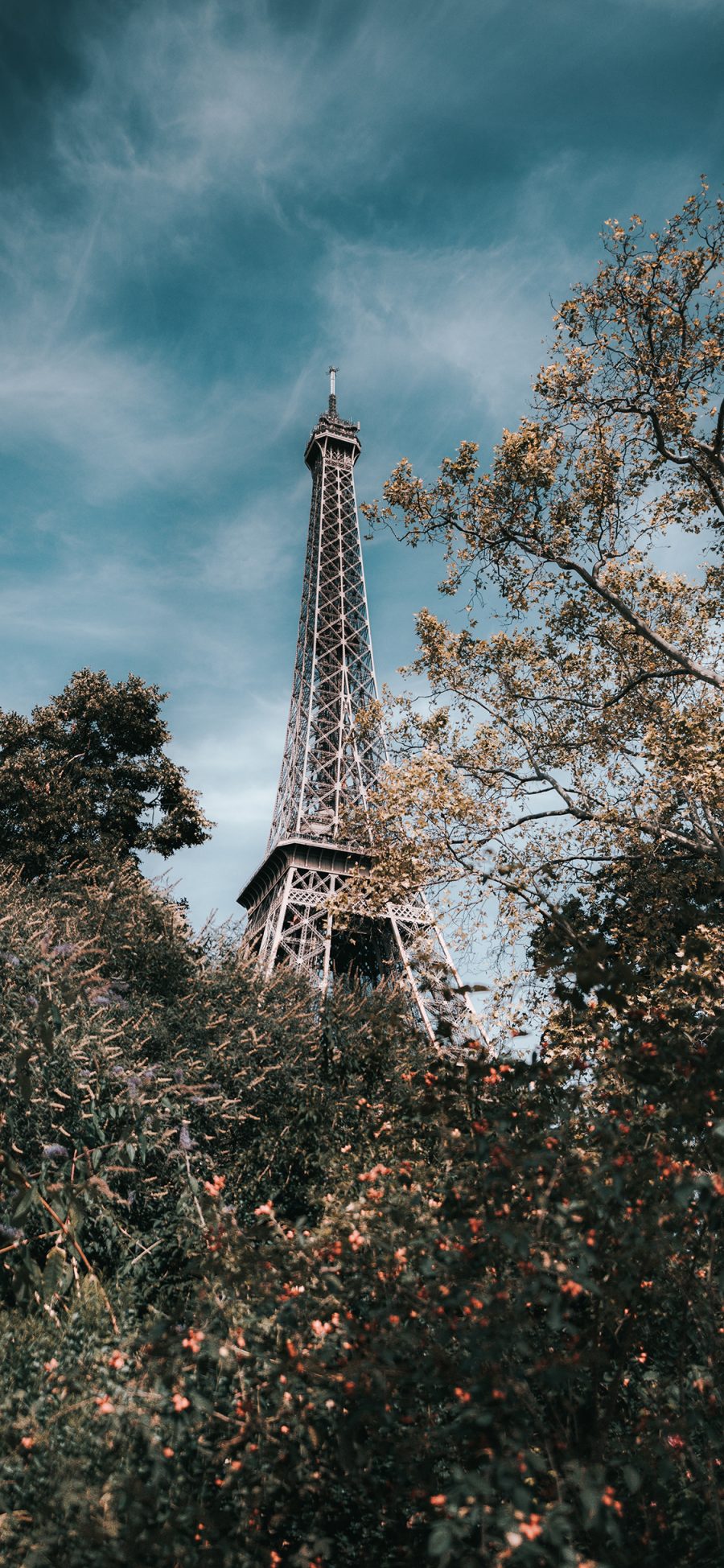 [2436×1125]天空 法国 巴黎铁塔 树木 苹果手机壁纸图片