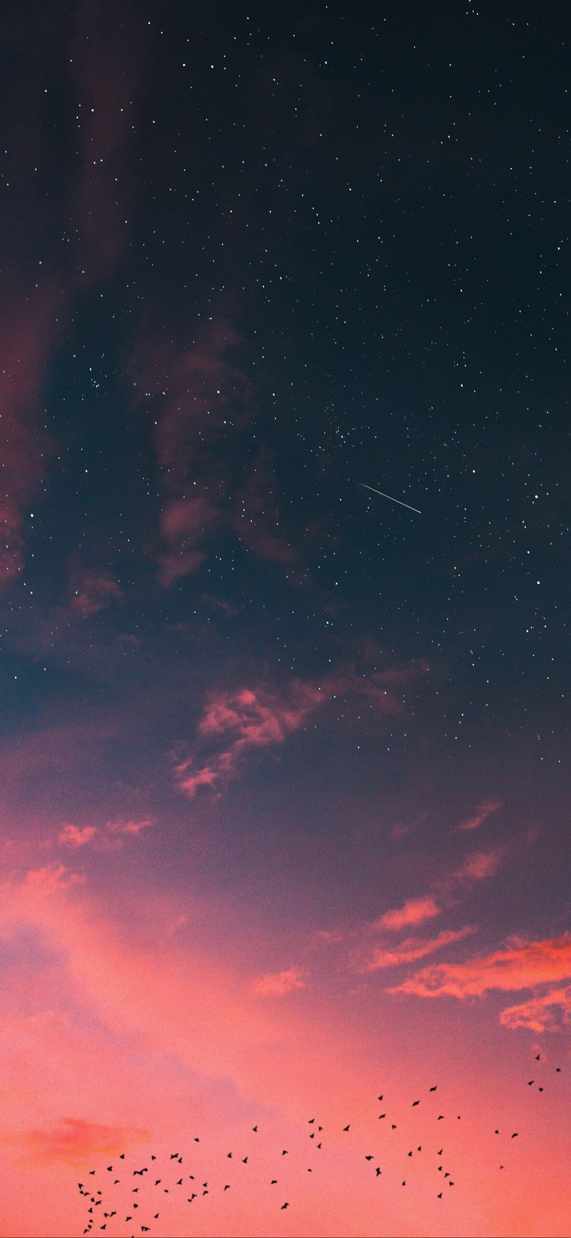 [2436×1125]天空 渐变 唯美 鸟群星空 苹果手机壁纸图片