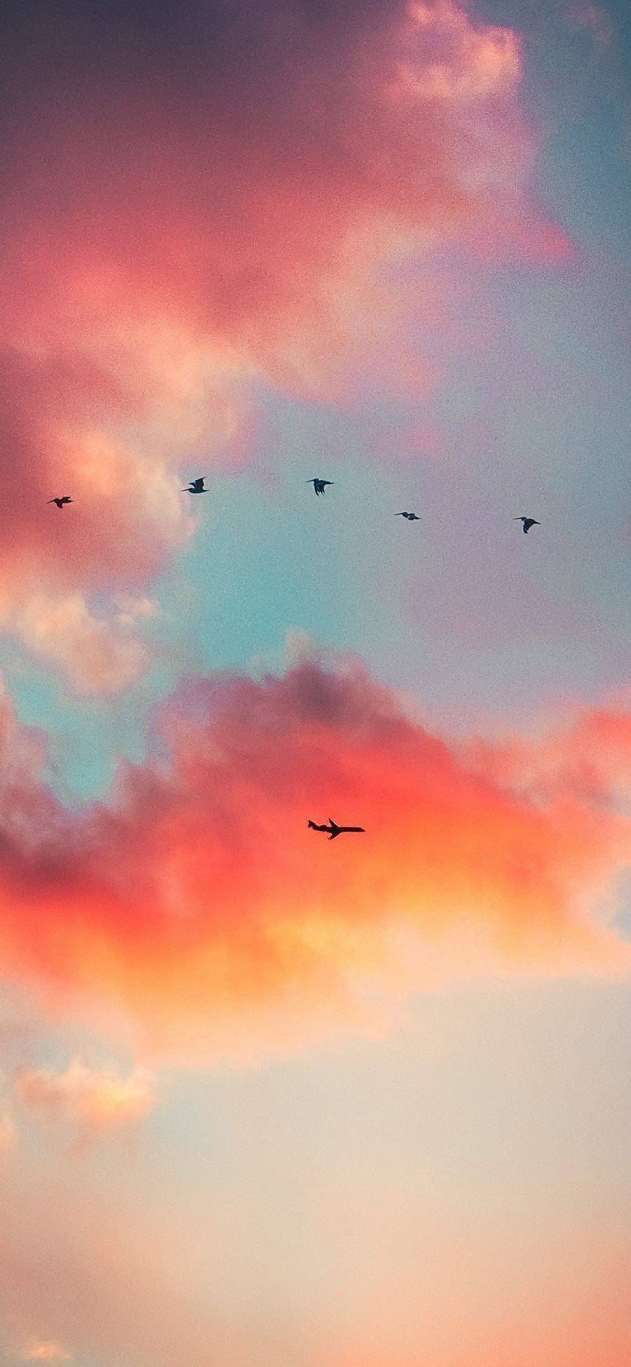 [2436×1125]天空 红云 飞机 飞鸟 苹果手机壁纸图片