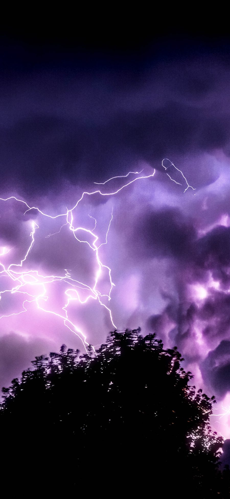 [2436×1125]天空 自然 树木 闪电 紫色 苹果手机壁纸图片