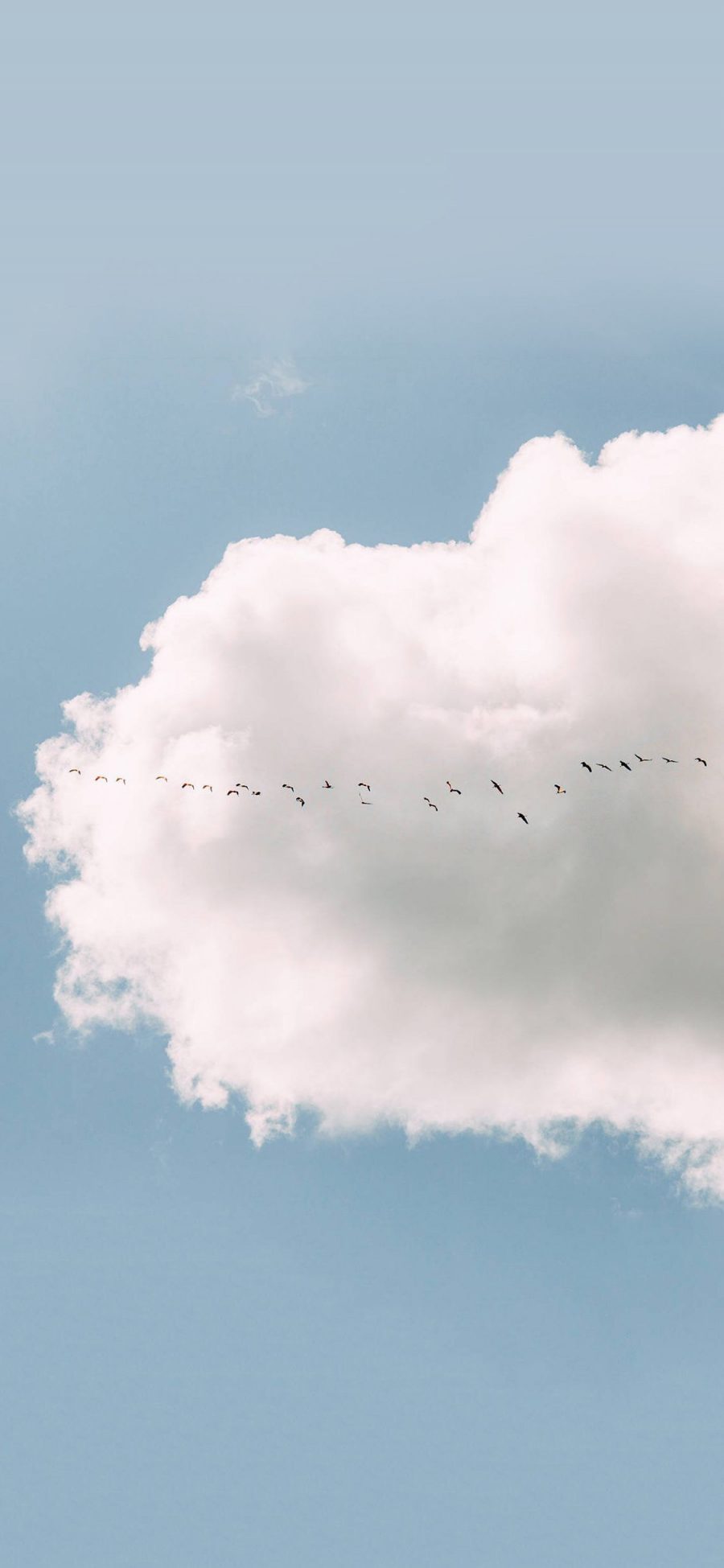 [2436×1125]天空 蓝天白云 云朵 鸟 飞翔 苹果手机壁纸图片