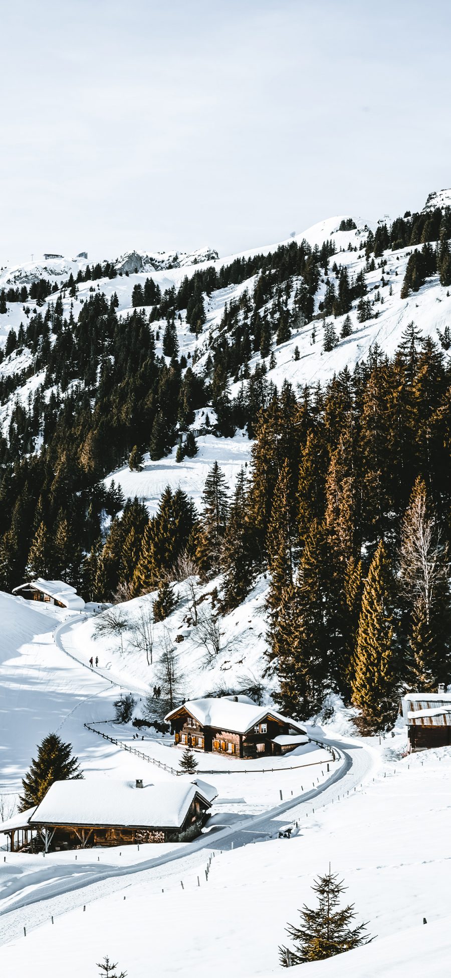 [2436×1125]寒冬 雪景 白雪覆盖 树木 木屋 苹果手机壁纸图片