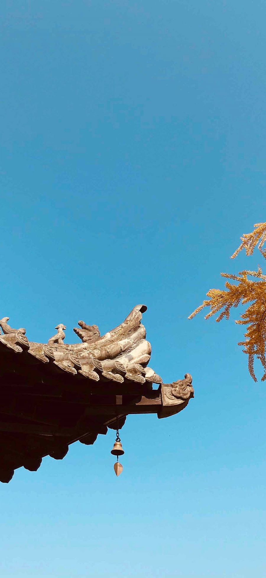 [2436×1125]屋檐 天空 屋顶 蔚蓝 苹果手机壁纸图片