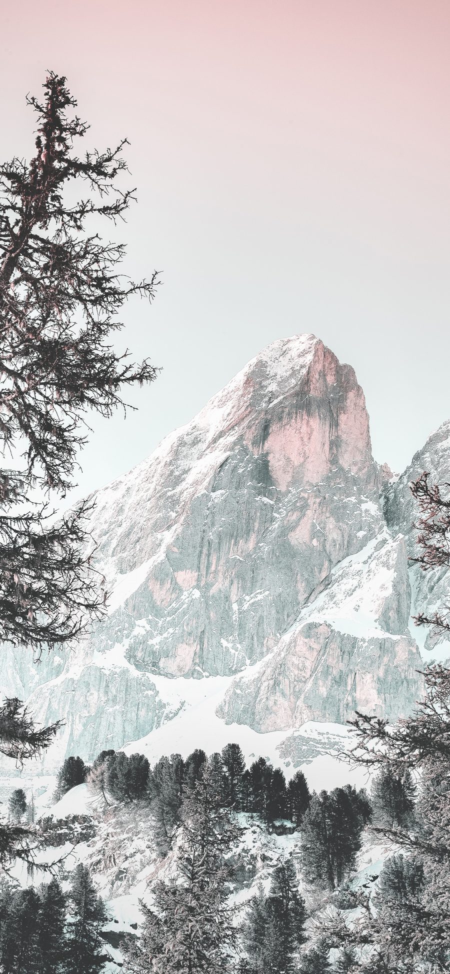 [2436×1125]山 树林 高山 渐变 雪顶 苹果手机壁纸图片