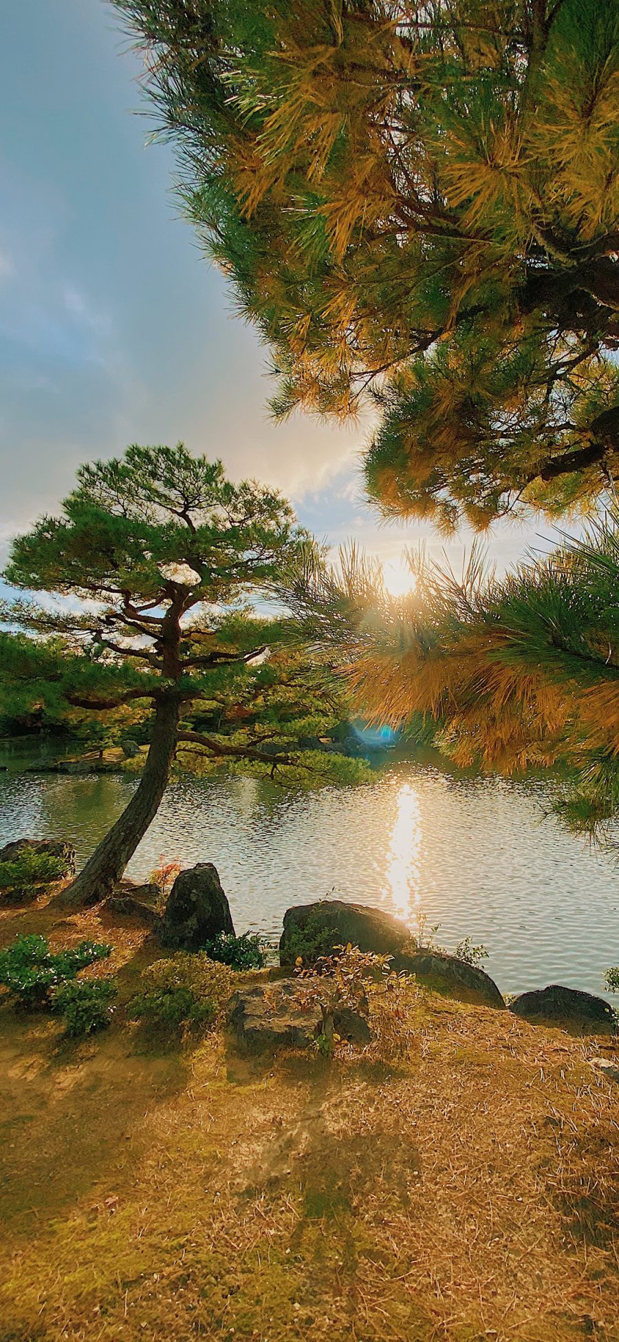 [2436×1125]山水 湖水 太阳 树木 苹果手机壁纸图片