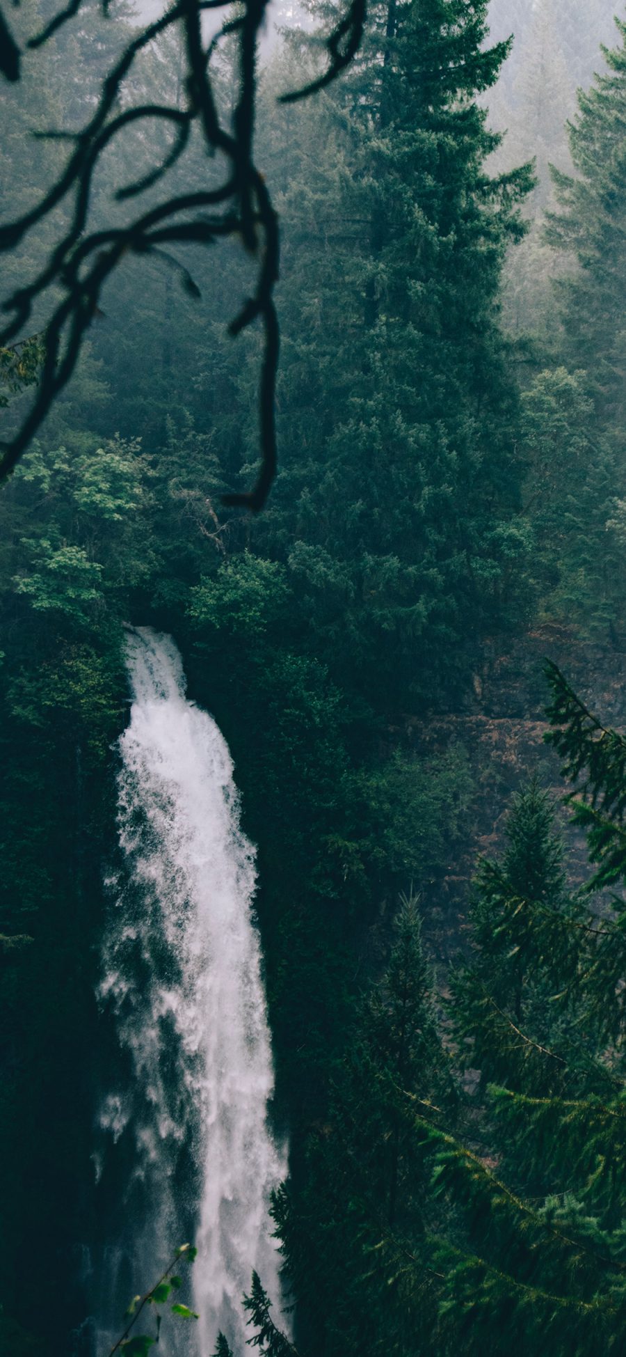 [2436×1125]山水 瀑布 绿化 森林 苹果手机壁纸图片