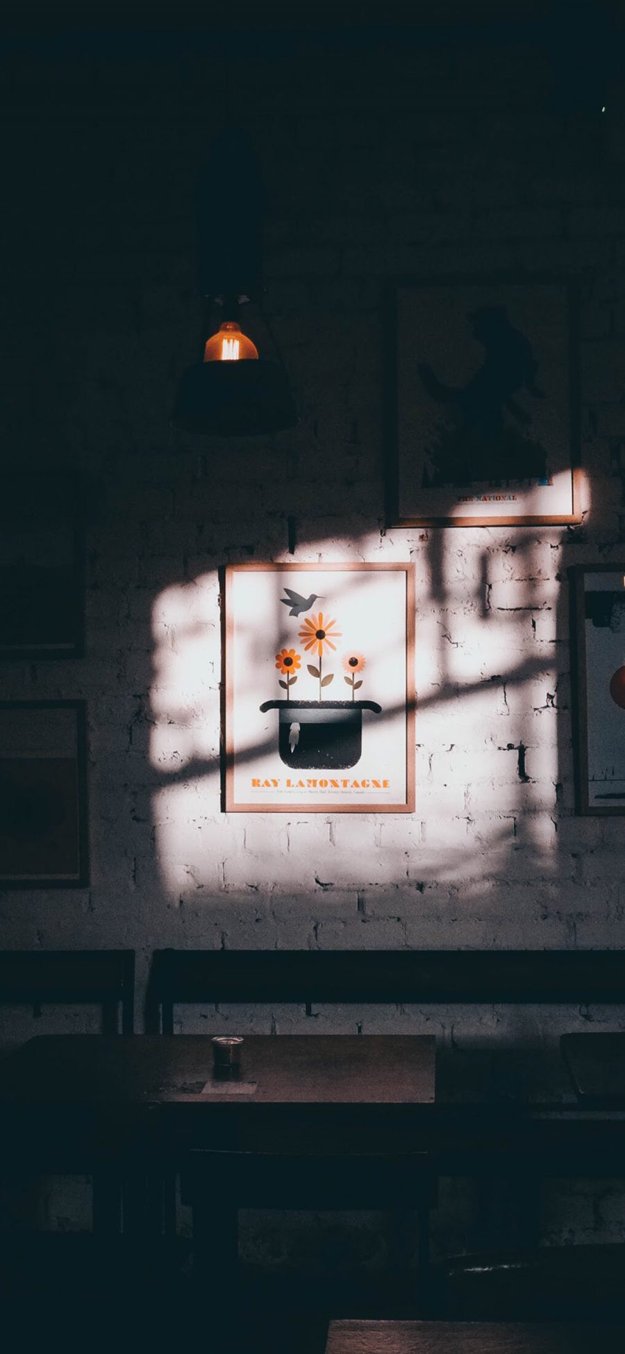 [2436×1125]店铺 壁画 菊花 阳光 苹果手机壁纸图片