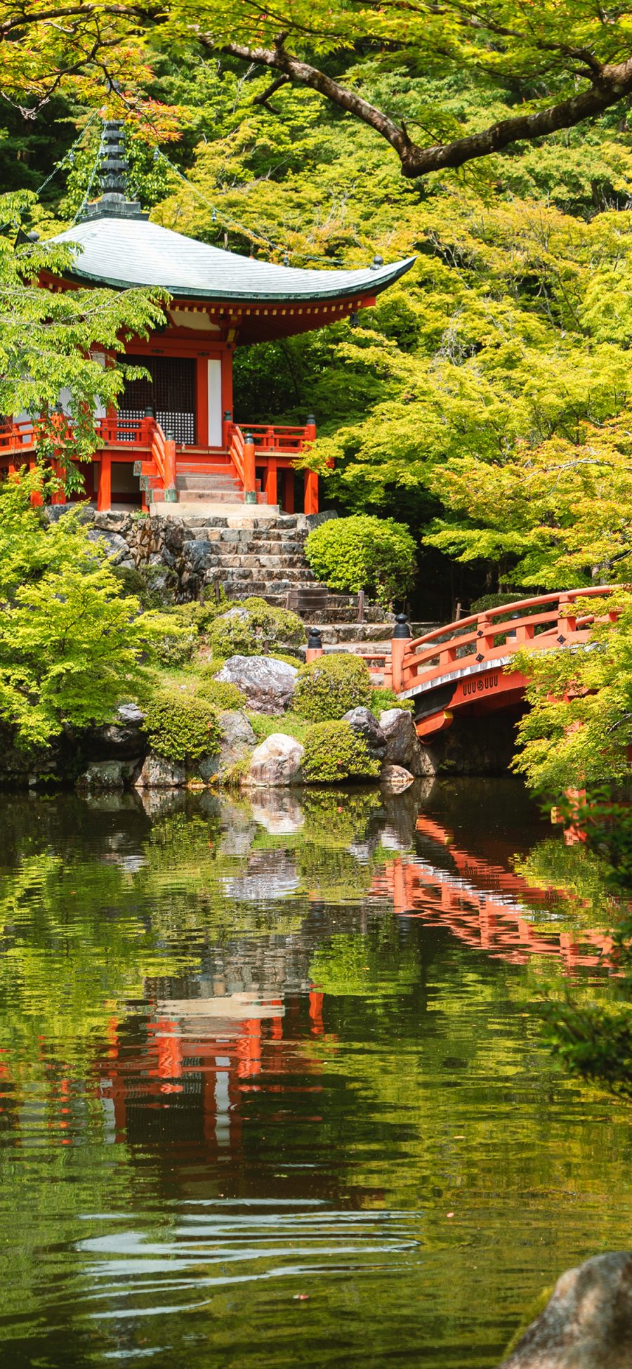 [2436×1125]庭院 池塘 桥 树林 景观 苹果手机壁纸图片