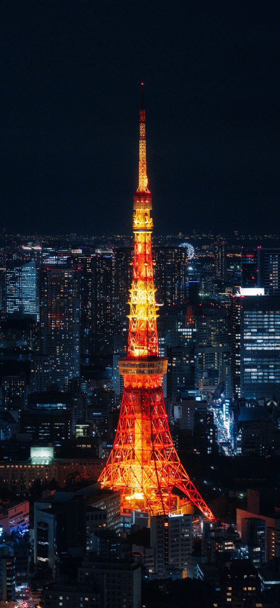 [2436×1125]建筑 巴黎铁塔 城市 夜景 苹果手机壁纸图片