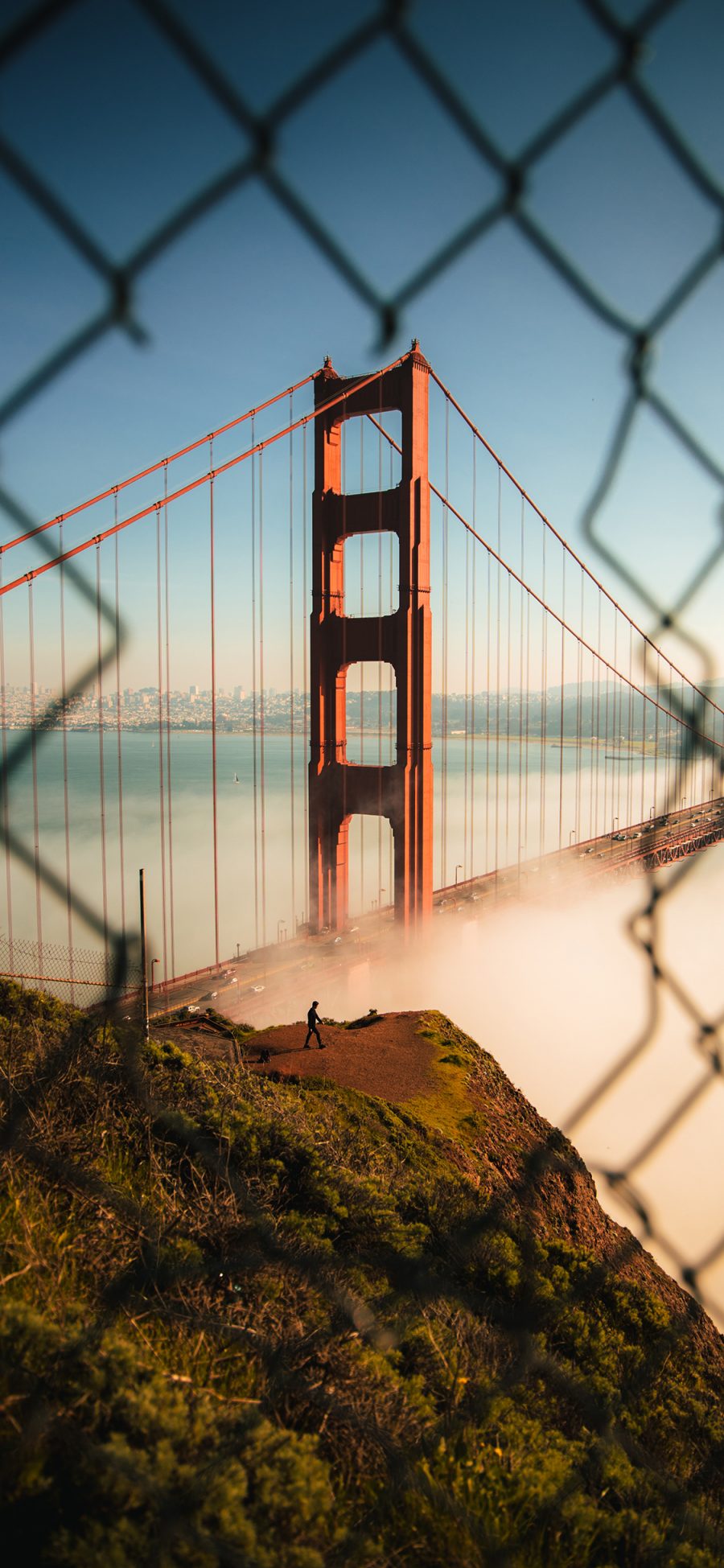 [2436×1125]建筑 桥梁 铁丝网 旧金山 金门大桥 苹果手机壁纸图片