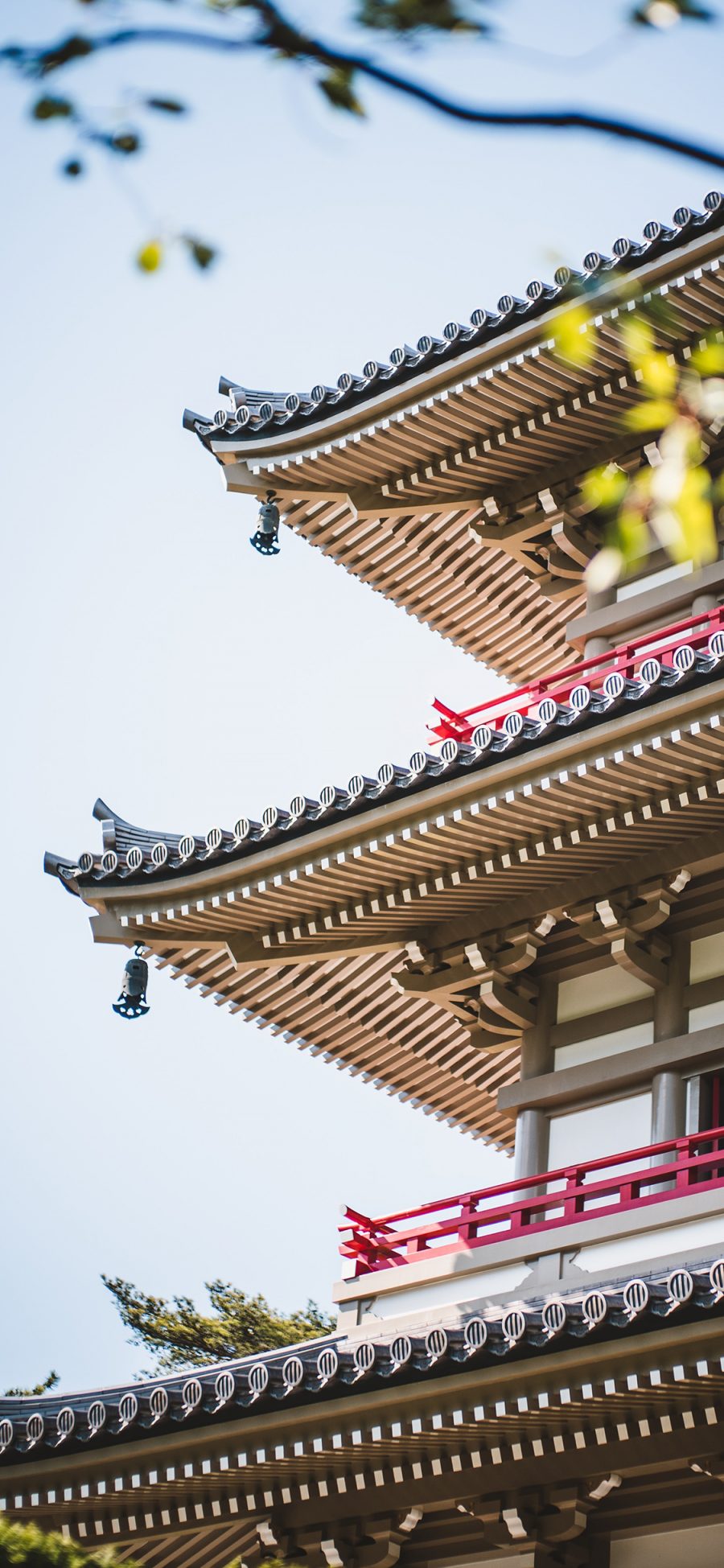 [2436×1125]建筑 设计 浅草寺 日本  塔楼