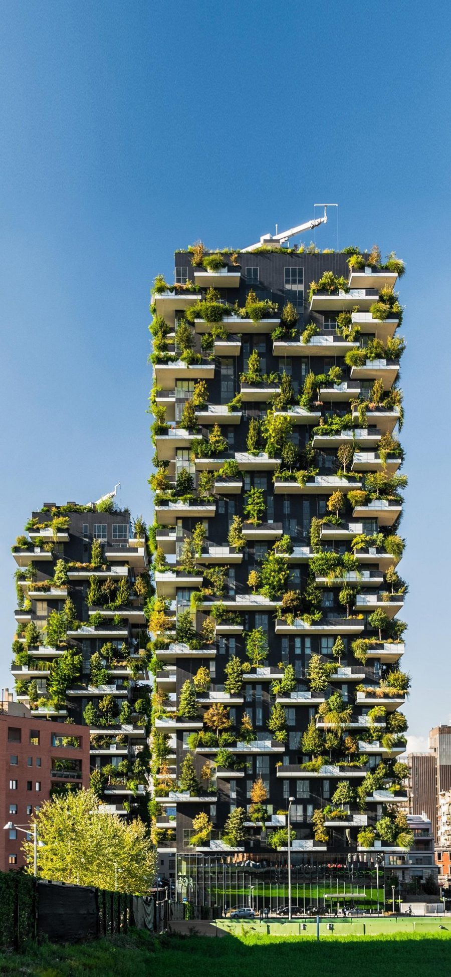 [2436×1125]建筑 高楼 树木 绿化 苹果手机壁纸图片