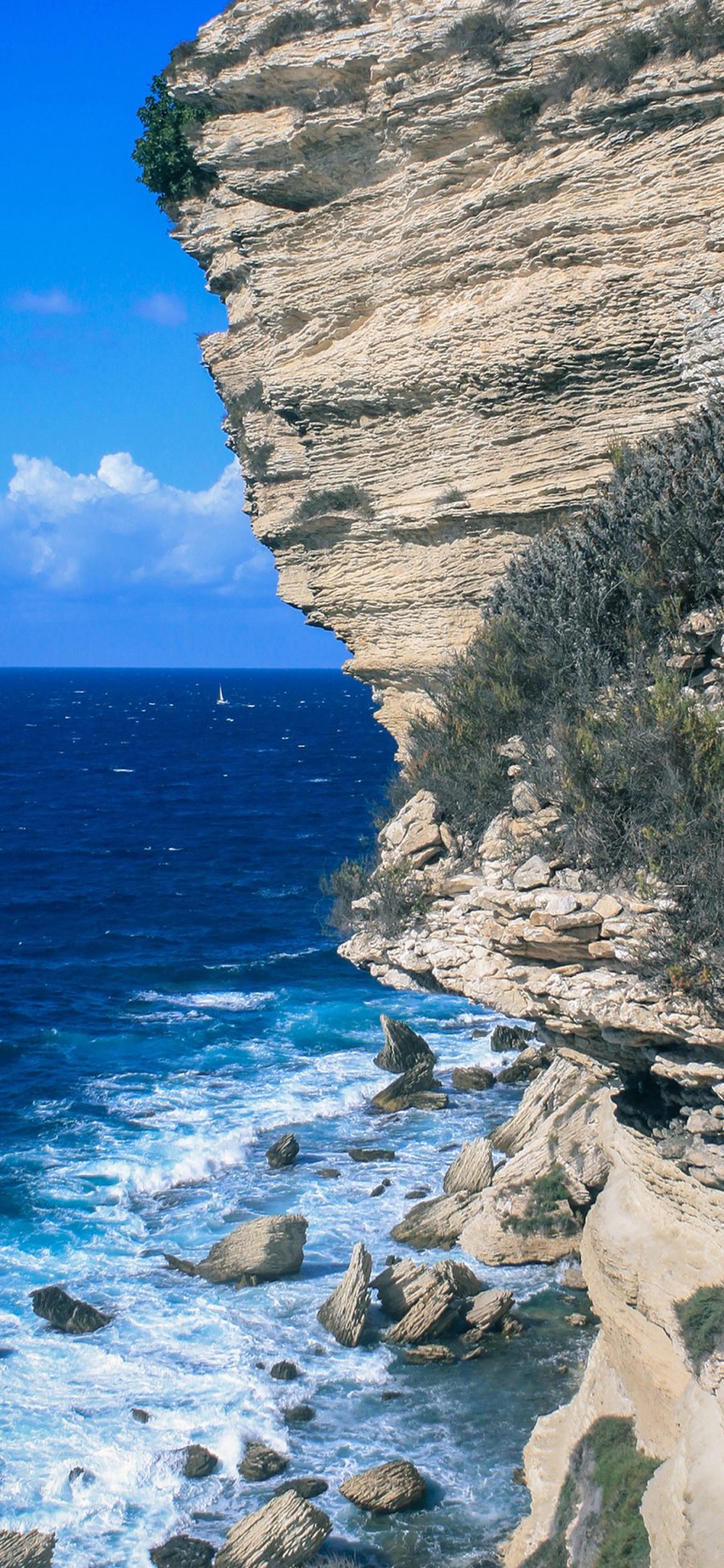 [2436×1125]悬崖 海景 岩石 绿植 苹果手机壁纸图片