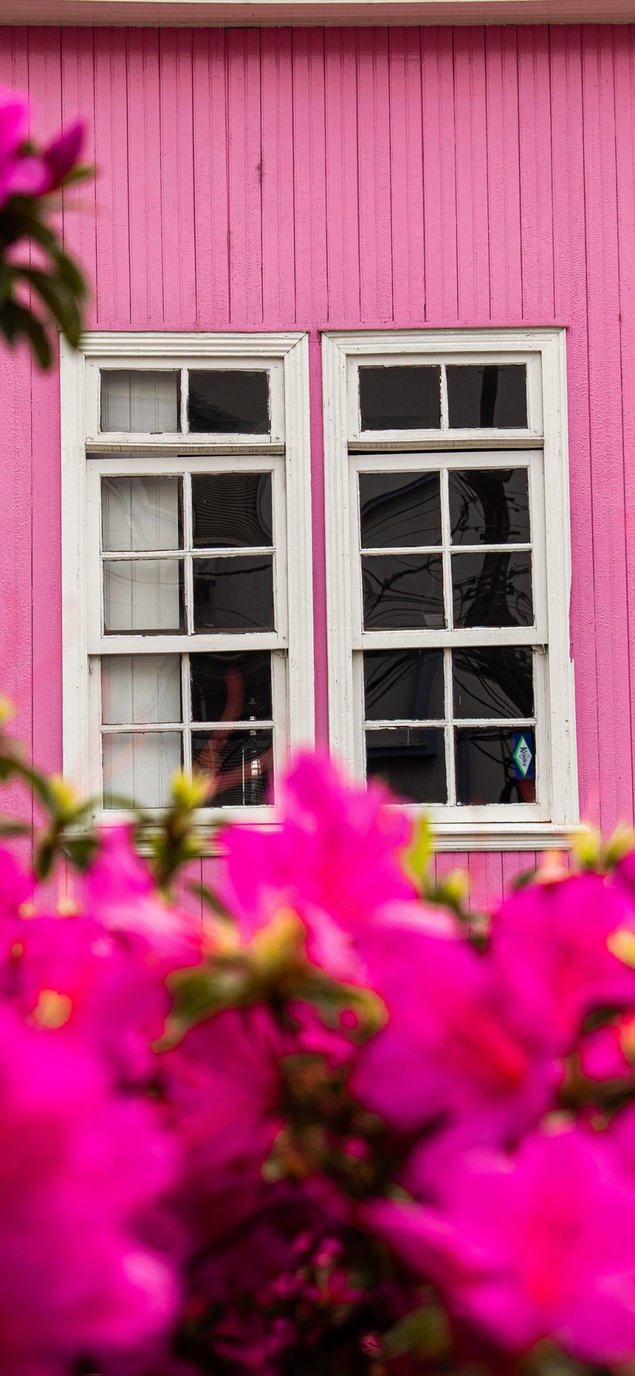 [2436×1125]房屋 窗户 鲜花 粉色系 苹果手机壁纸图片