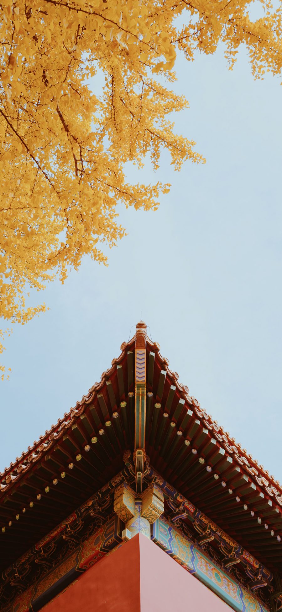 [2436×1125]故宫 屋檐 建筑 紫禁城 瓦片 苹果手机壁纸图片