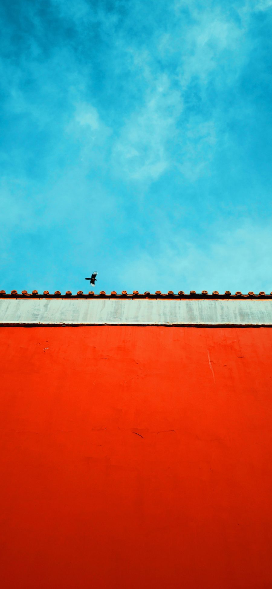 [2436×1125]故宫 建筑 红墙 天空 鸟 苹果手机壁纸图片