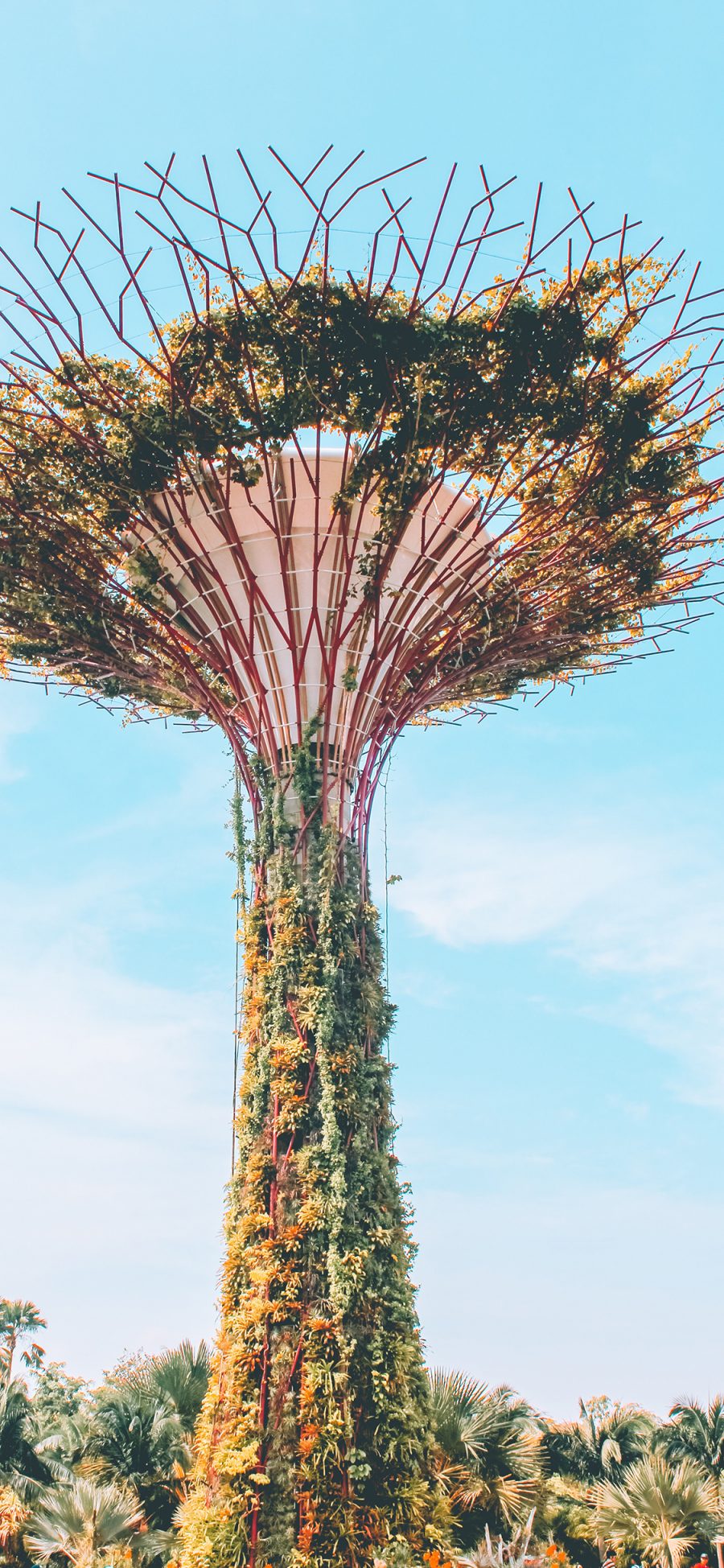 [2436×1125]新加坡 滨海湾花园 特色 地标 建筑 藤蔓 苹果手机壁纸图片