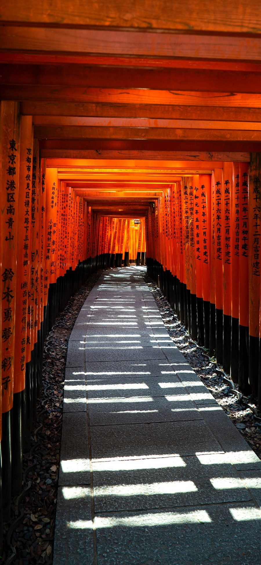 [2436×1125]日本 京都 伏见稻荷神社 景点 长廊 苹果手机壁纸图片