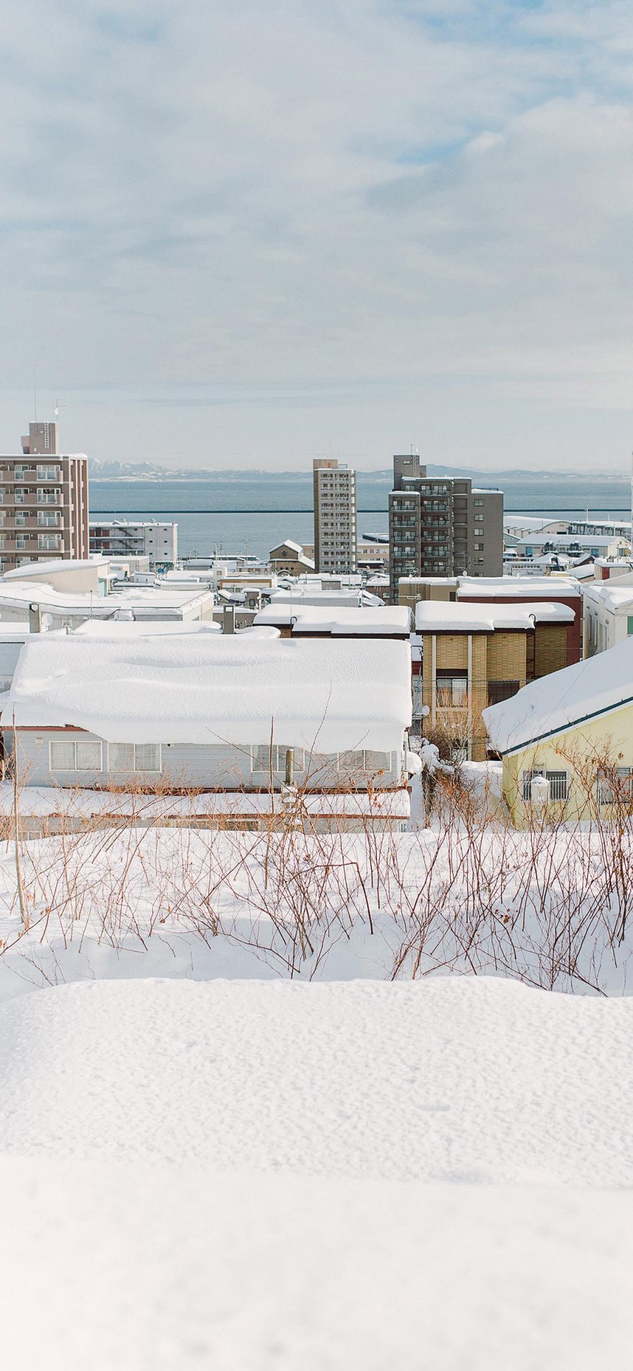 [2436×1125]日本 北海道 冬季 雪景 苹果手机壁纸图片