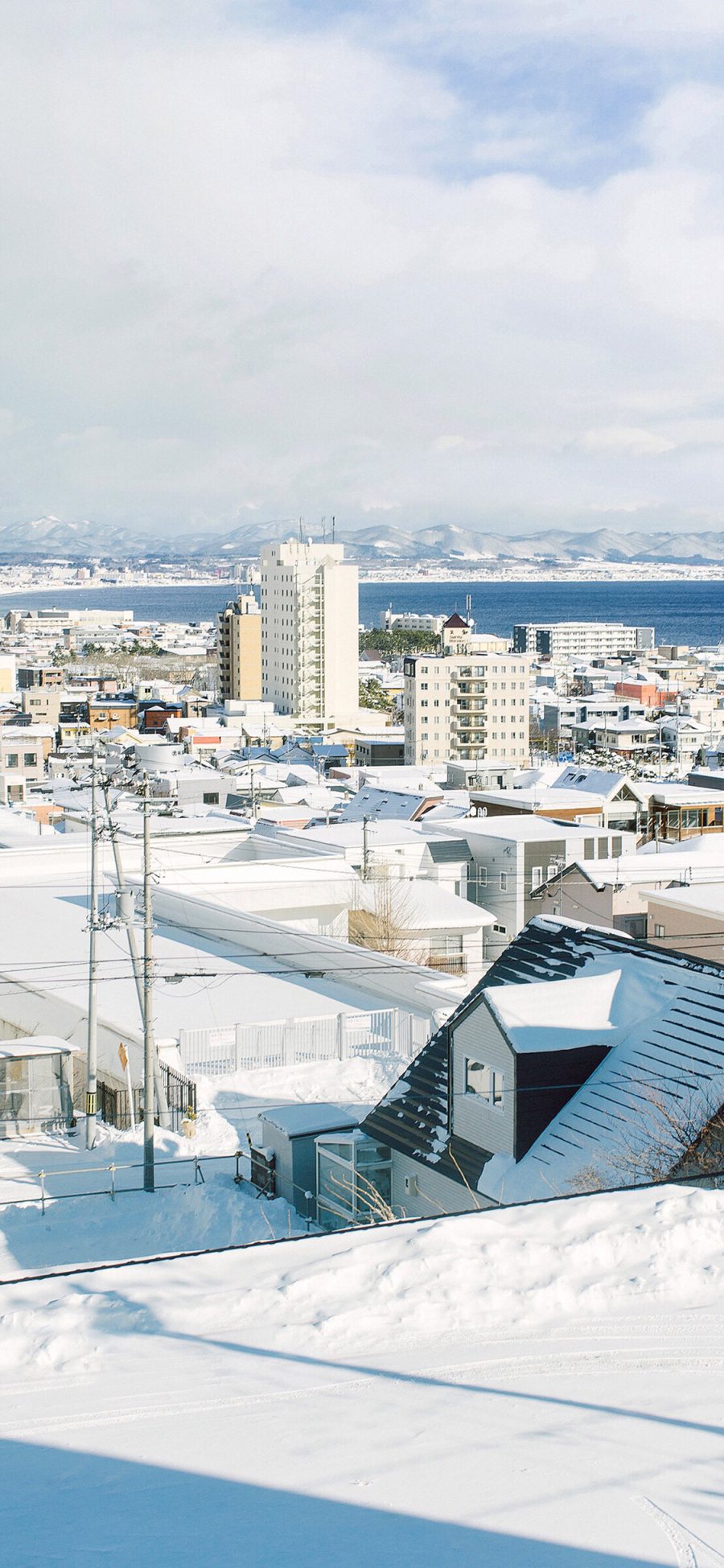 [2436×1125]日本 北海道 白雪覆盖 美景 苹果手机壁纸图片