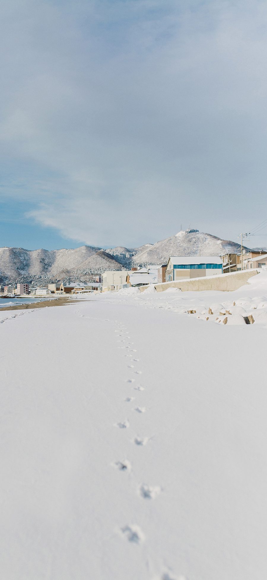 [2436×1125]日本 北海道 雪景 脚印 苹果手机壁纸图片