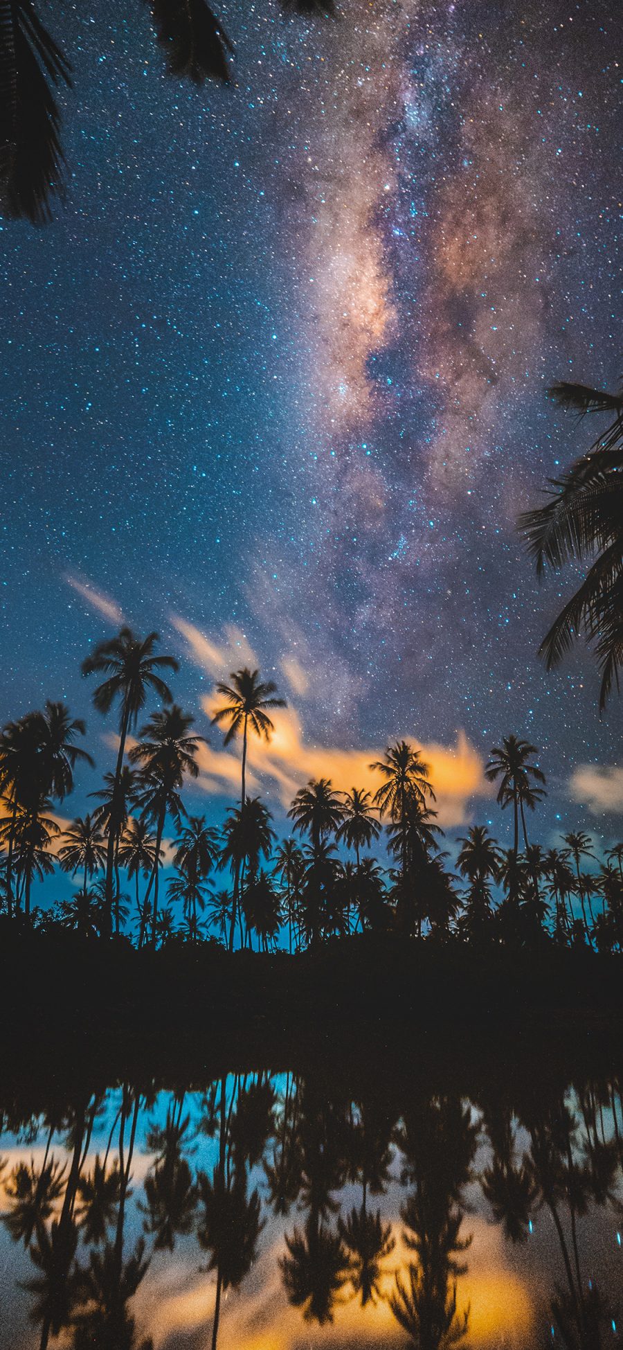 [2436×1125]星空 夜景 椰树 唯美 苹果手机壁纸图片