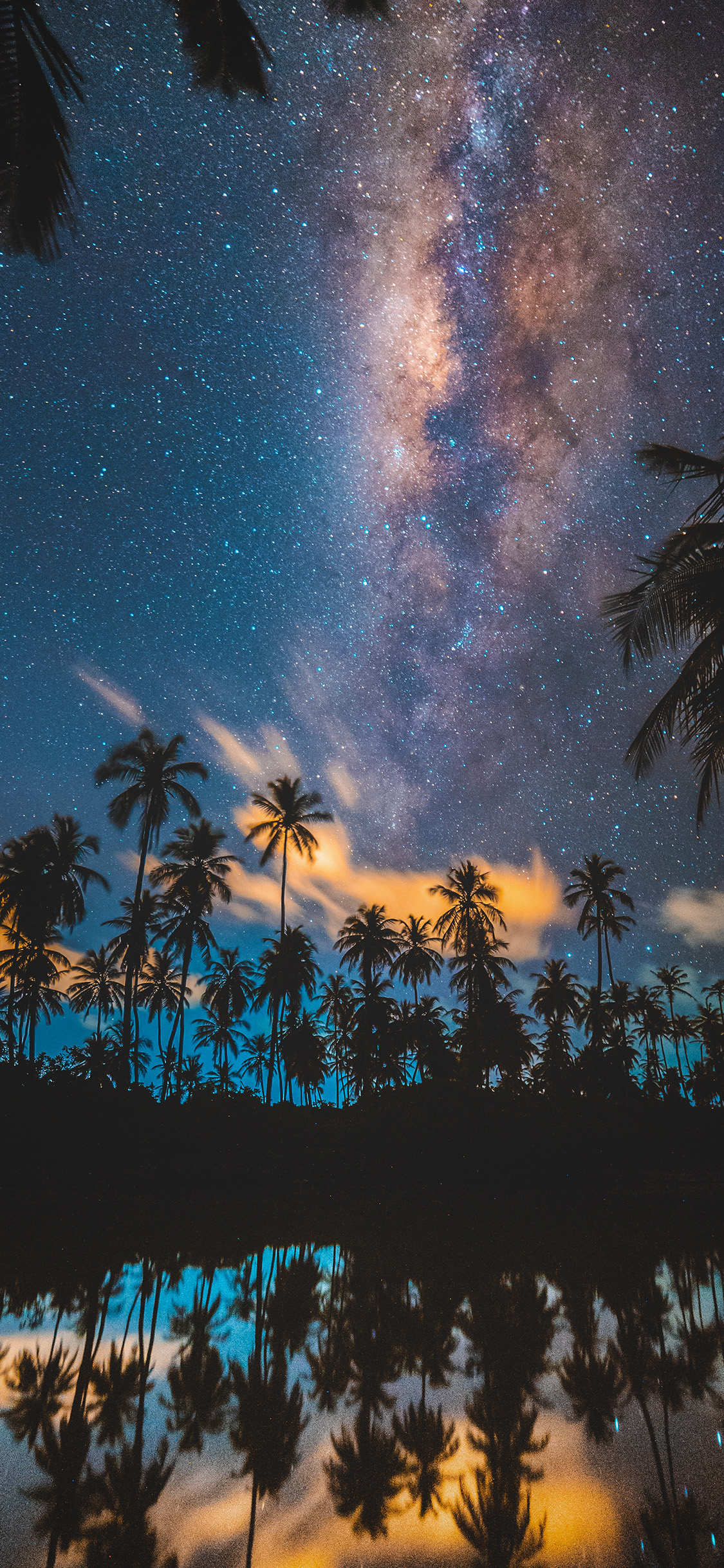 [2436×1125]星空 夜景 椰树 唯美 苹果手机壁纸图片