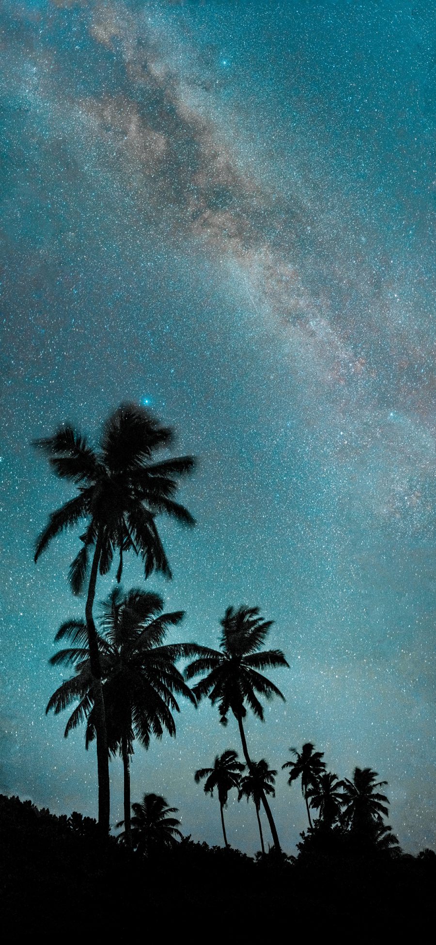 [2436×1125]星空 椰树 银河 璀璨 唯美 苹果手机壁纸图片
