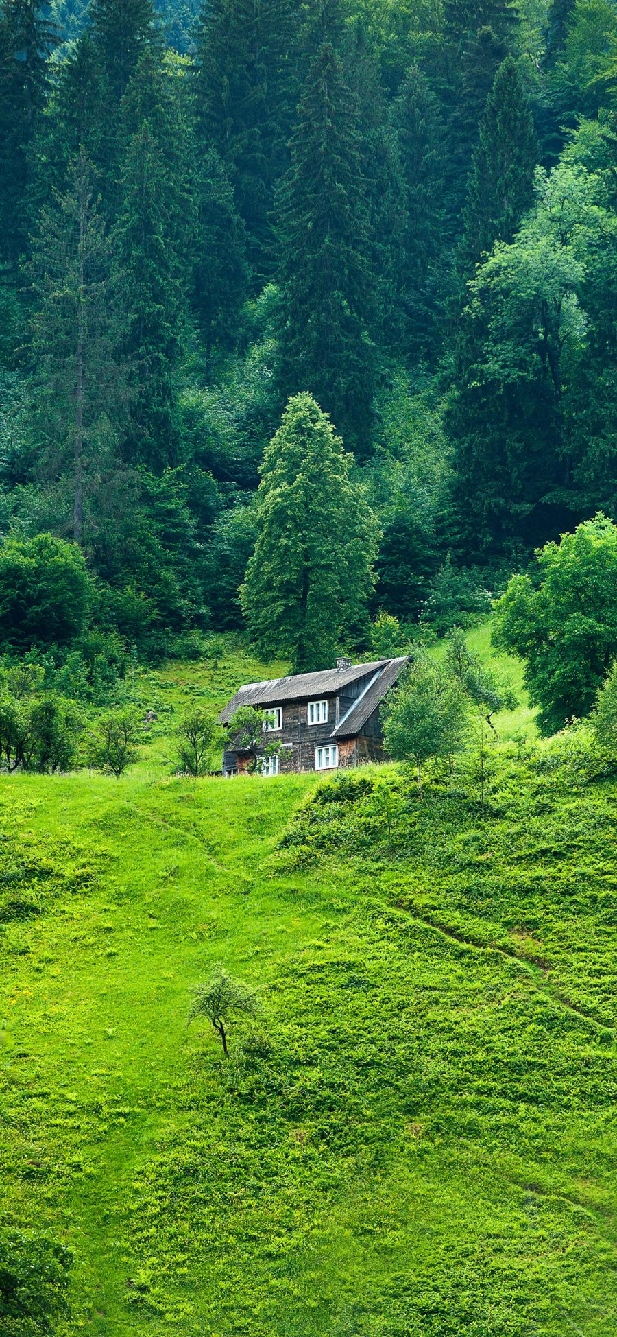 [2436×1125]景色 山野 绿意盎然 房屋 碧绿 苹果手机壁纸图片