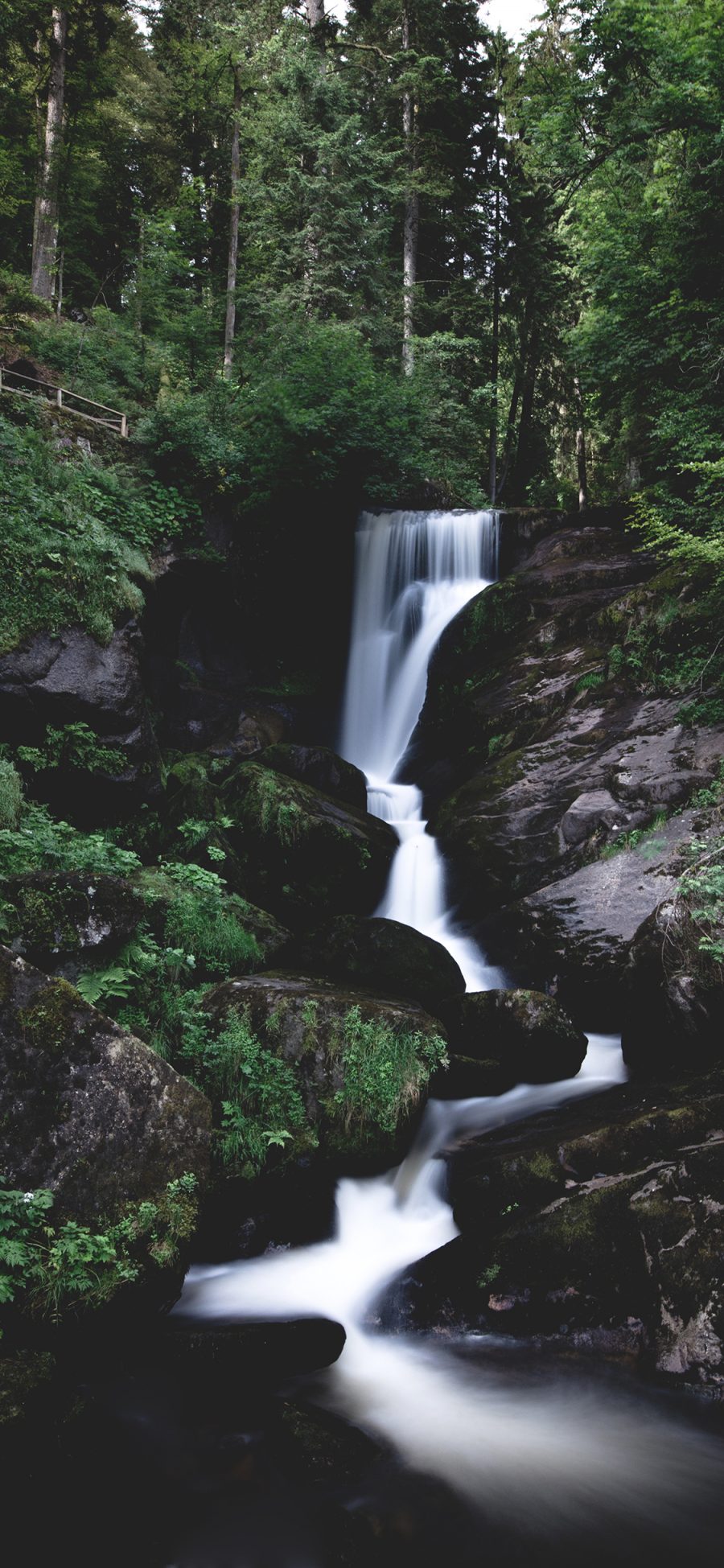 [2436×1125]景色 树林 溪水 瀑布 苹果手机壁纸图片