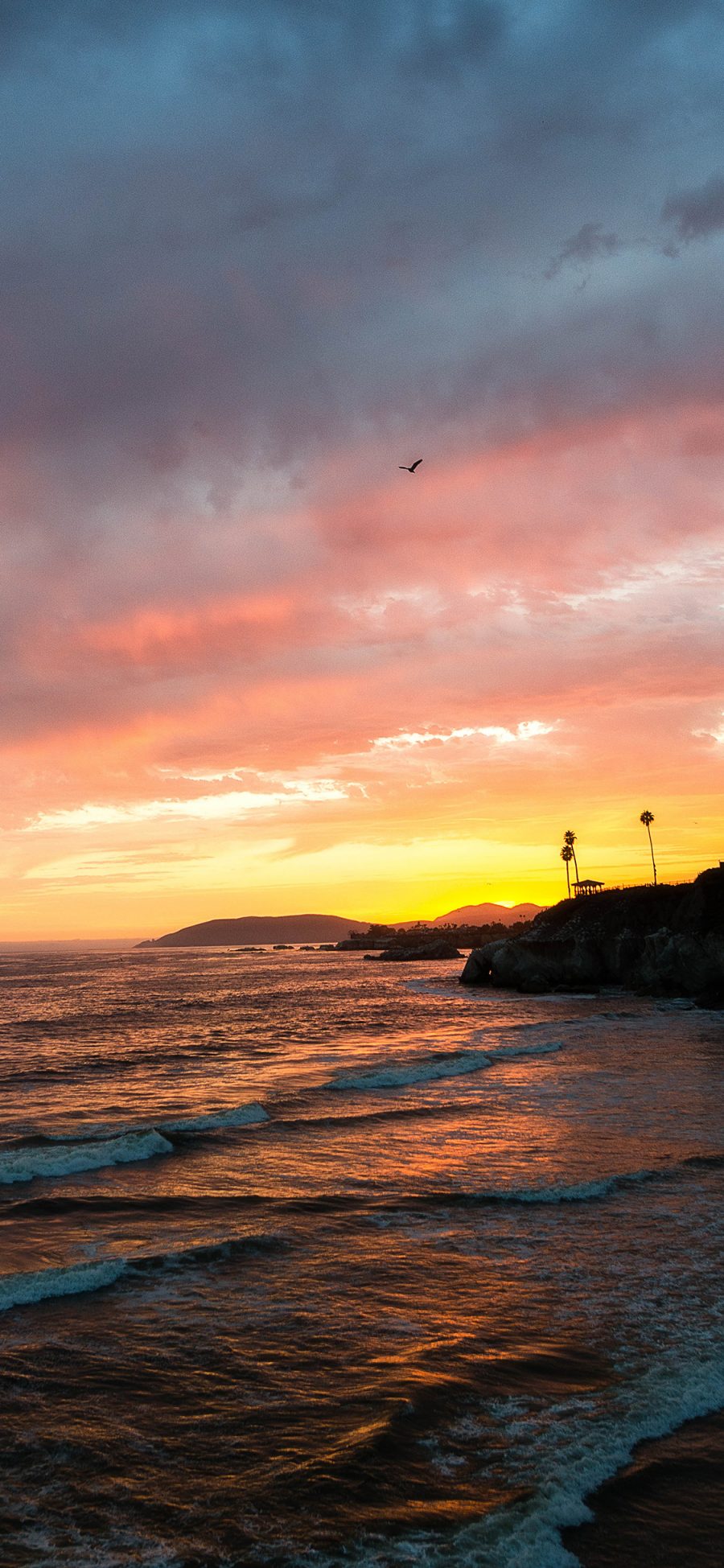 [2436×1125]景色 海浪 夕阳 彩霞 海岸 苹果手机壁纸图片