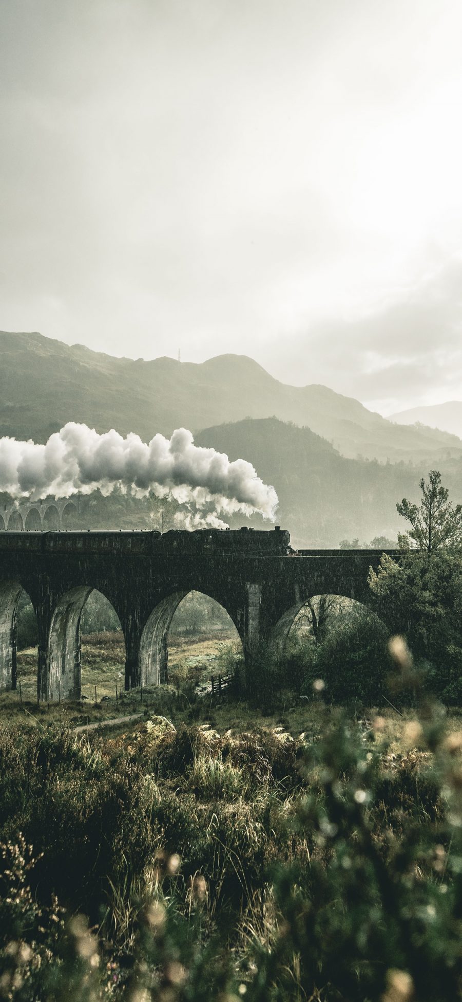 [2436×1125]景色 火车 蒸汽 高桥 行驶 苹果手机壁纸图片