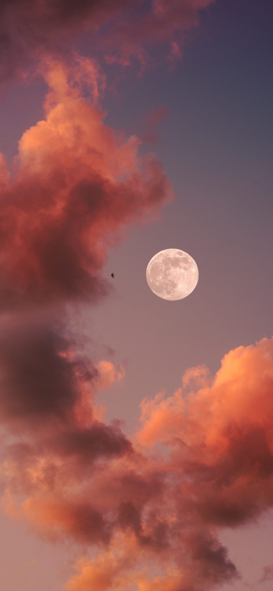 [2436×1125]月亮 天空 云海 星球 苹果手机壁纸图片