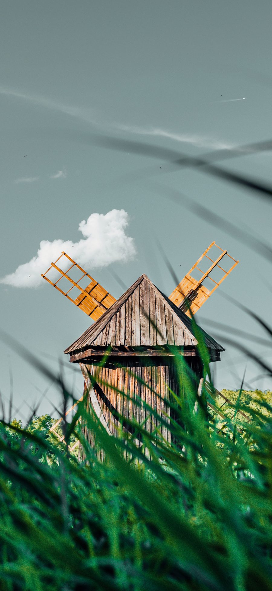 [2436×1125]木屋 草地 风车 建筑 自然 苹果手机壁纸图片