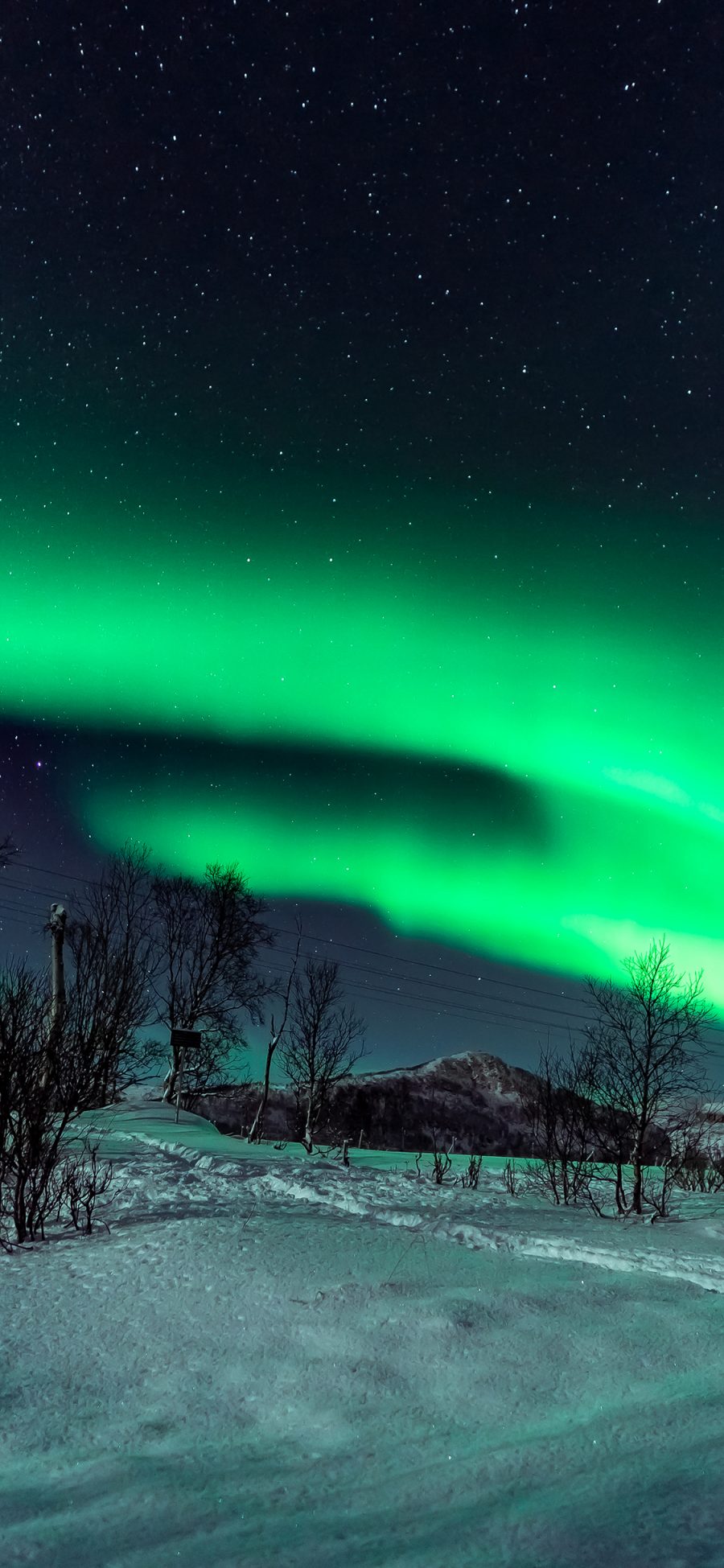 [2436×1125]极光 大自然 天文现象 雪地 星空 苹果手机壁纸图片