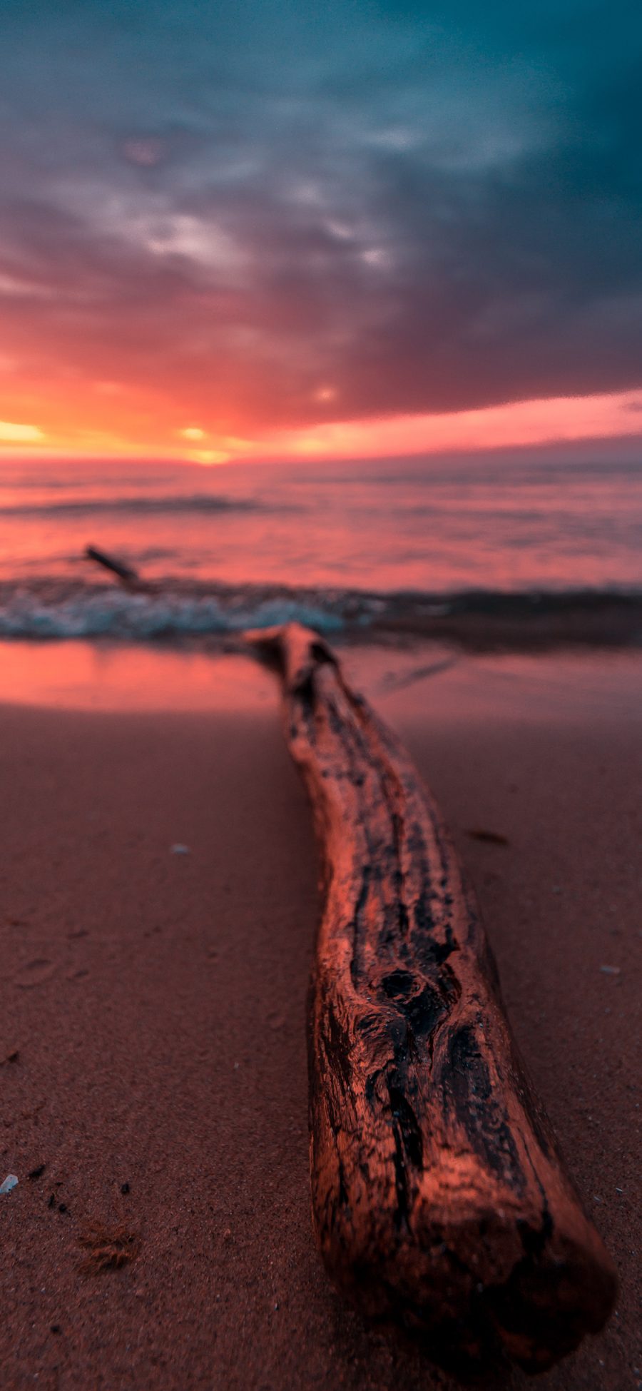 [2436×1125]枯木 黄昏 夕阳 海岸 沙滩 苹果手机壁纸图片