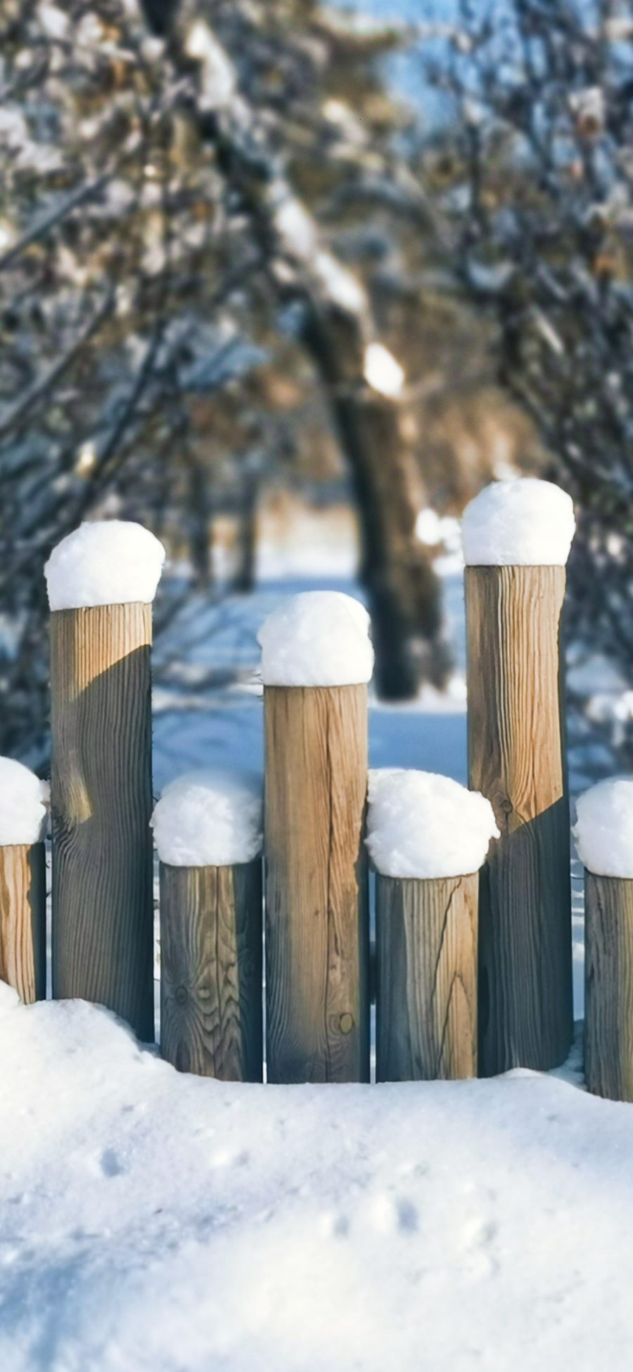 [2436×1125]栅栏 木桩 雪季 堆积 苹果手机壁纸图片