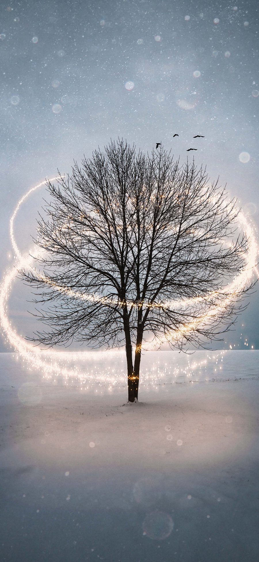 [2436×1125]树木 光线 雪地 飞鸟 苹果手机壁纸图片