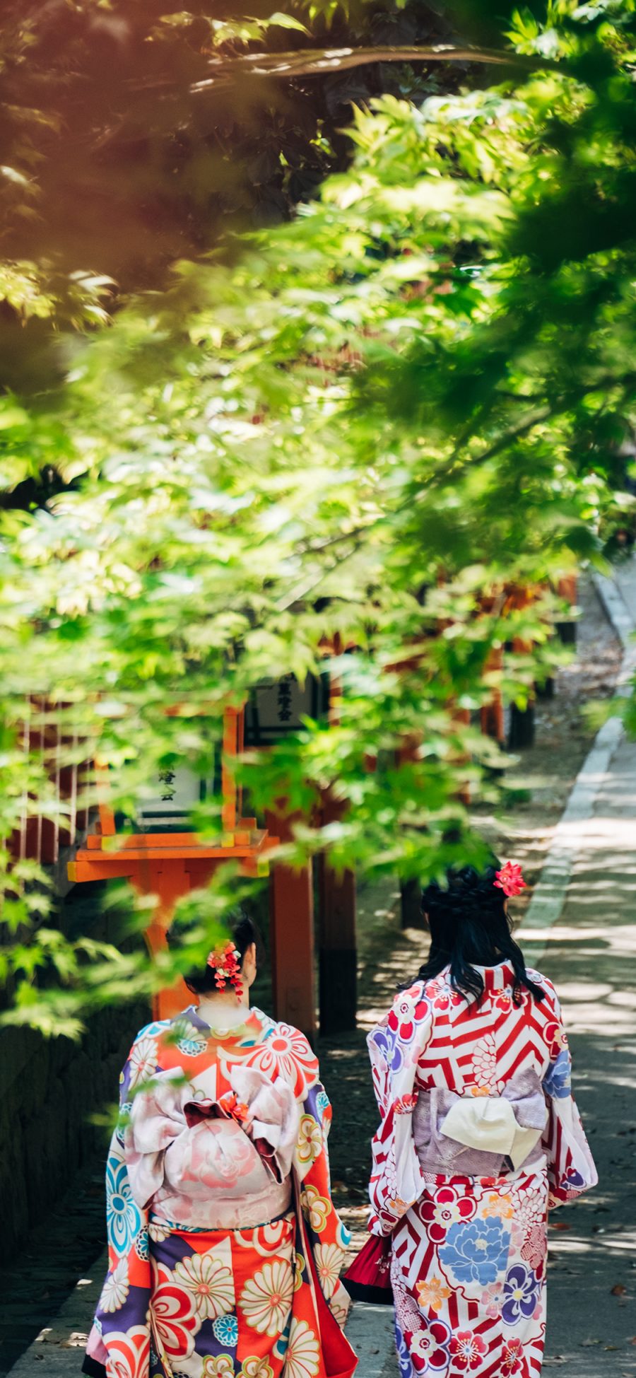 [2436×1125]树木 枝叶 女孩背影 日本和服 苹果手机壁纸图片