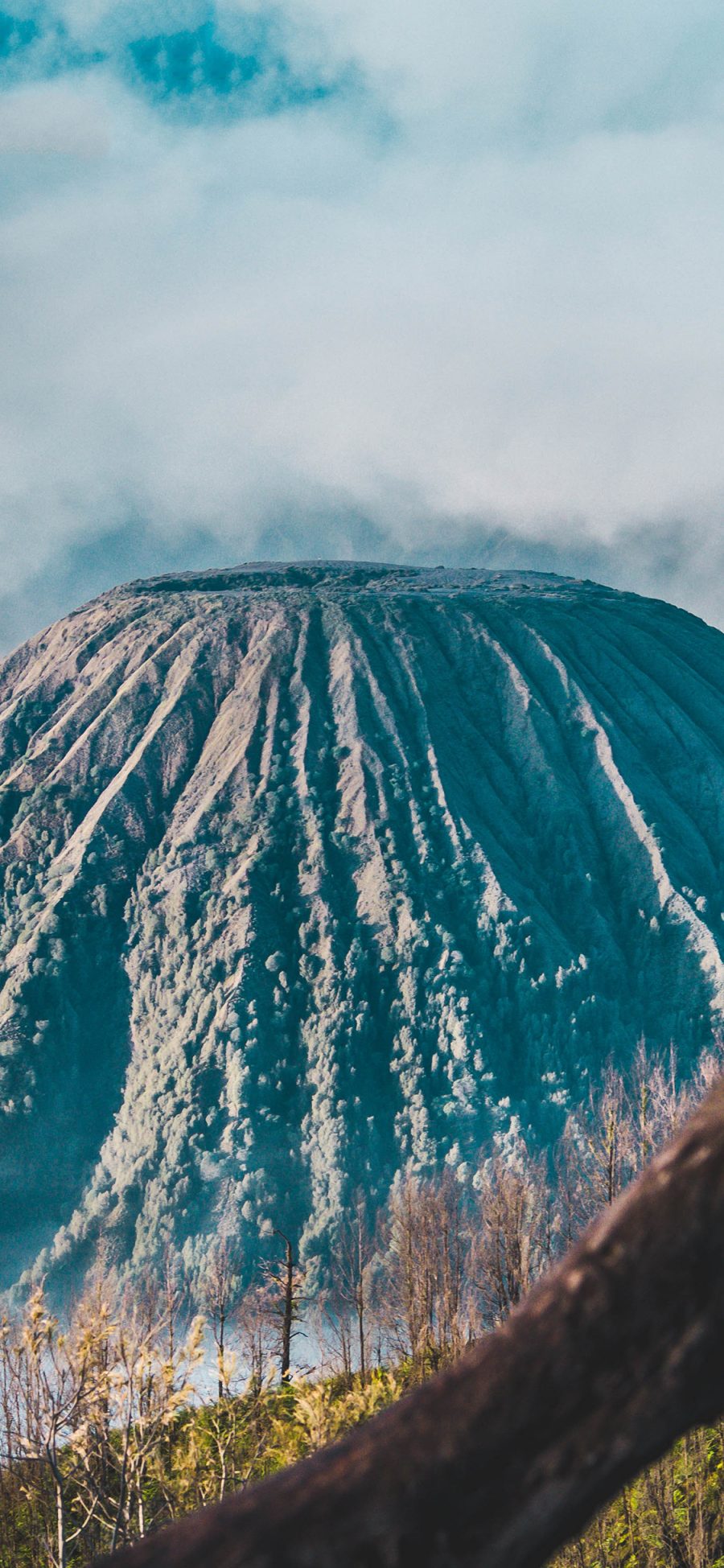 [2436×1125]树木 枝干 山峰 火山 苹果手机壁纸图片