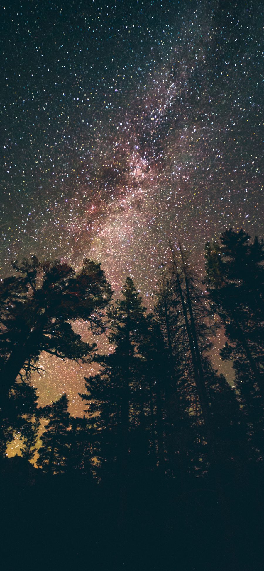 [2436×1125]树林 仰望 星空 夜晚 苹果手机壁纸图片