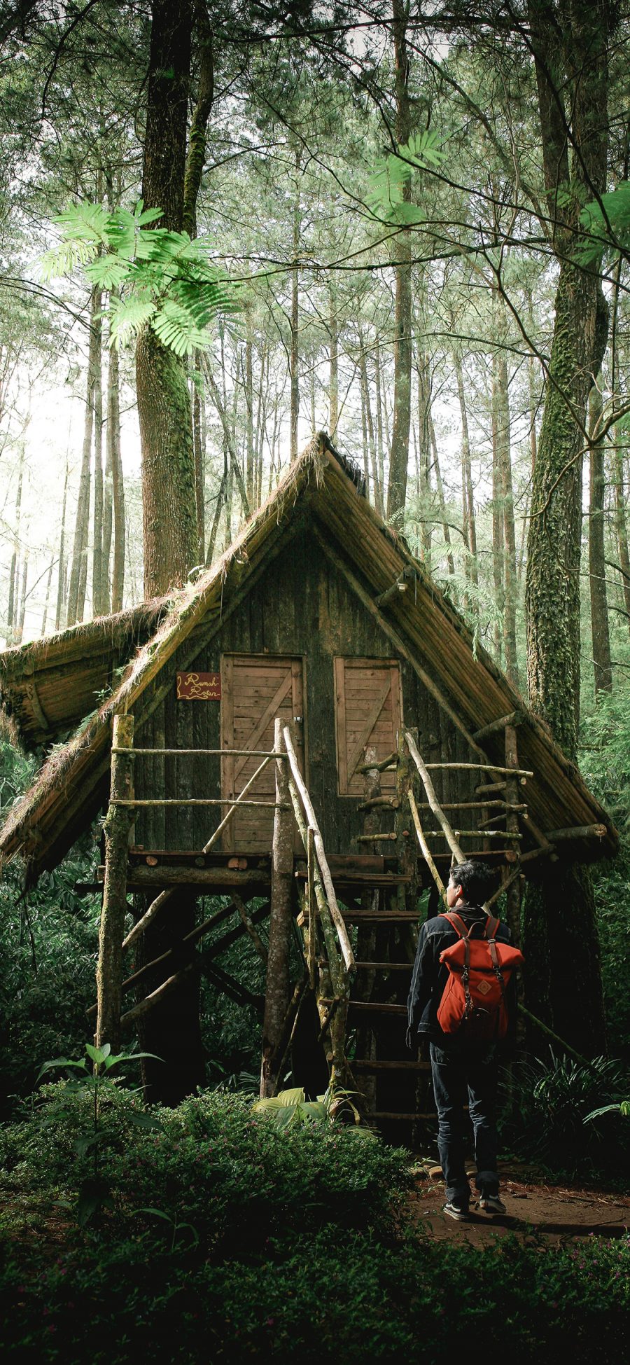 [2436×1125]树林 木屋 景观 搭建 苹果手机壁纸图片