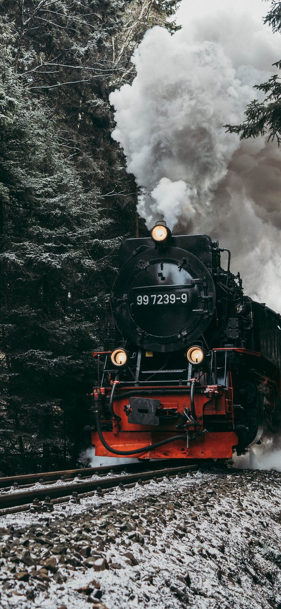 [2436×1125]树林 火车 轨道 烟雾 苹果手机壁纸图片