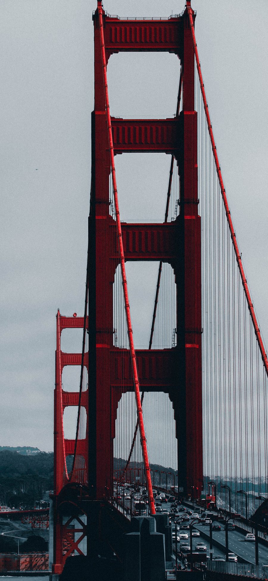 [2436×1125]桥梁 金门大桥 玫瑰 地标 苹果手机壁纸图片