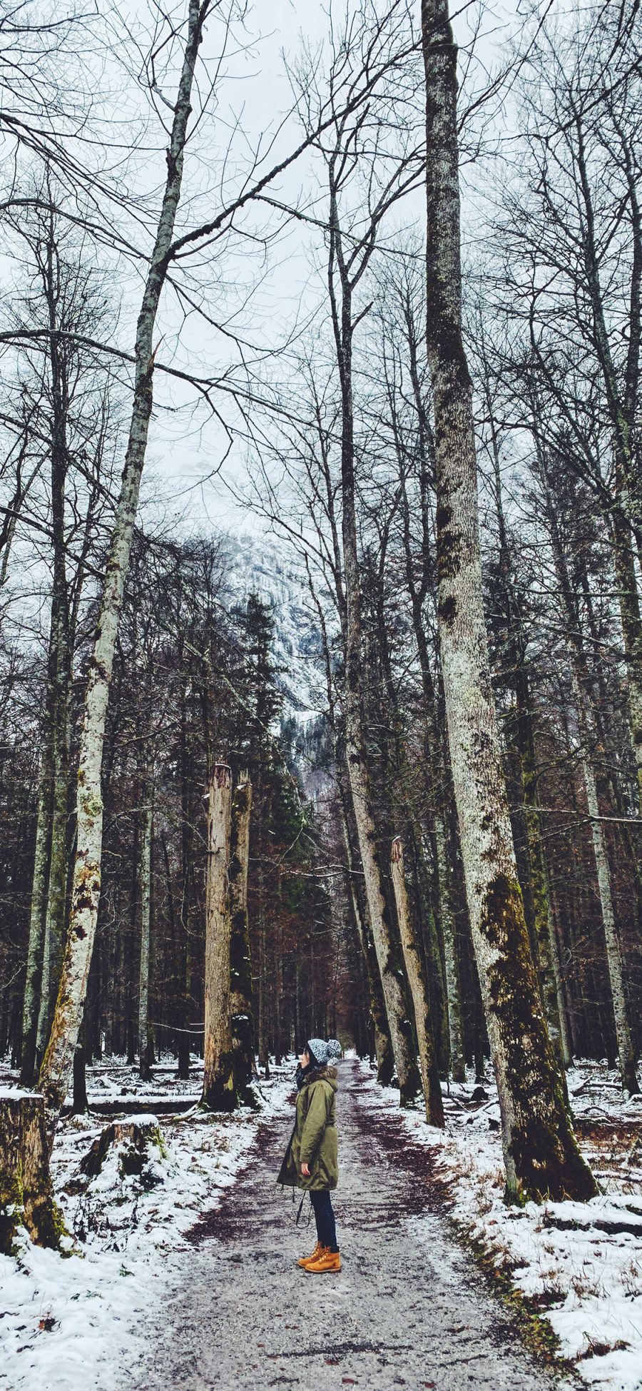 [2436×1125]森林 树木 女孩 白雪 苹果手机壁纸图片