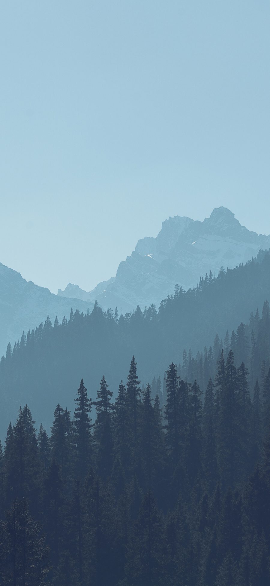 [2436×1125]森林 树林 大山 大自然 苹果手机壁纸图片