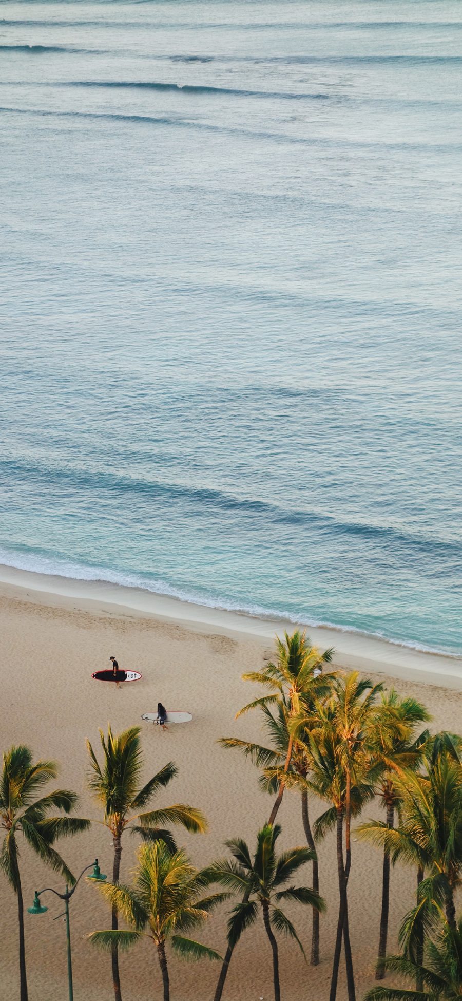 [2436×1125]椰树 大海 海滩 海浪 苹果手机壁纸图片
